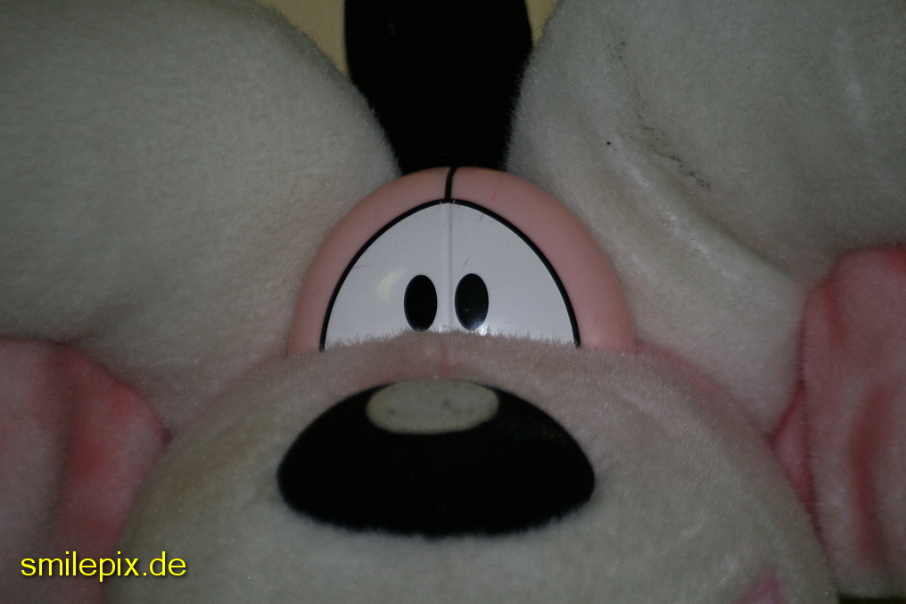 Norden 28.3.09 (121)